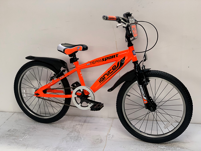 Orange 20 on sale inch bike